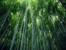 麻将胡了2(中国)官方网站-IOS/安卓通用版/手机APP下载